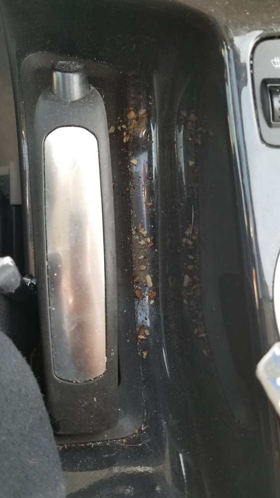 OASIS CARWASH Updated July 2024 765 E Chicago St, Coldwater, Michigan Car Wash Phone