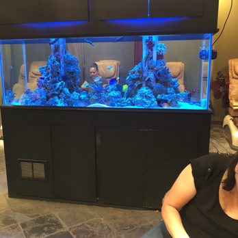 VIP Nails & Day Spa - Pretty tropical fish tank - Nail Salons Near Me - Orlando, Florida VIP Nails & Day Spa - Pretty tropical fish tank - Nail Salons Near Me - Orlando, Florida