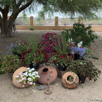 Native Roots Landscaping - Assorted flowers - Landscaping Near Me - Morristown , Arizona