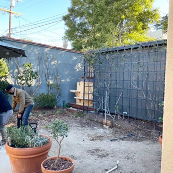 Tree Doctor - Landscape Preparation & Planting
Site prep and planting layout for a clean foundation and lasting landscape results. - Tree Services Near Me Tree Doctor - Landscape Preparation & Planting
Site prep and planting layout for a clean foundation and lasting landscape results. - Tree Services Near Me