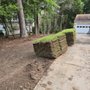 Photo of Southeastern Sod