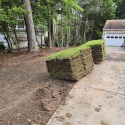 Southeastern Sod