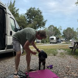 Bar Harbor Campground - F Loop