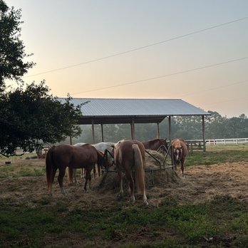 Red Gate Farms - RV Resort - RV Parks Near Me - Savannah, Georgia Red Gate Farms - RV Resort - RV Parks Near Me - Savannah, Georgia