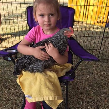 Fannie's Farm Friends - Chicken friend - Party & Event Planning Near Me Fannie's Farm Friends - Chicken friend - Party & Event Planning Near Me