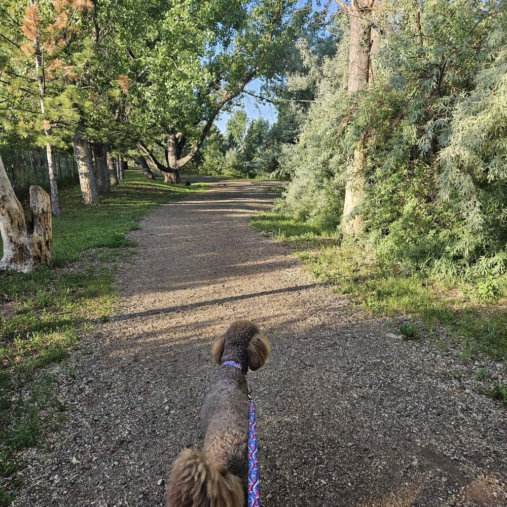 Koa Lakeside - Walking path around lake. - RV Parks Near Me - Fort Collins, Colorado Koa Lakeside - Walking path around lake. - RV Parks Near Me - Fort Collins, Colorado