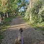 Koa Lakeside