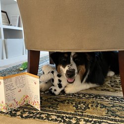 The Jungle Gift Greeting Cards Email, Text or Print 14712