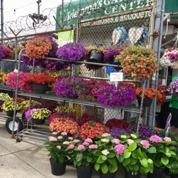 Ariemma's Garden Center