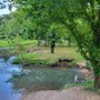 Photo of River's Bend Campground