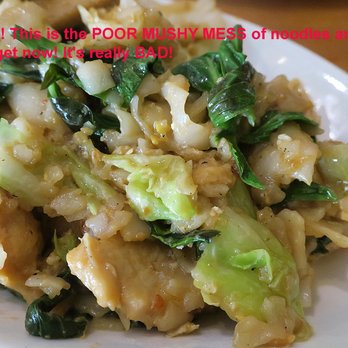 Green Elephant Restaurant - the soggy mess they are now - Burmese Near Me - Loomis, California