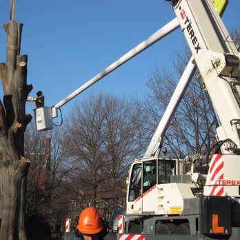C S Flournoy - Another day in the office - Tree Services Near Me - Richmond, Virginia