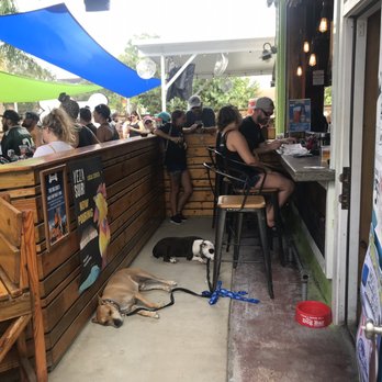 The Dog Bar - Sports Bars Near Me - St. Petersburg, Florida The Dog Bar - Sports Bars Near Me - St. Petersburg, Florida