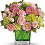 Photo of Woolvies Florist