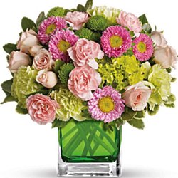 Woolvies Florist - What I had ordered