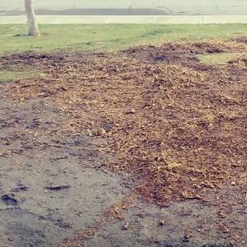 Cervantes Tree Services - Tree Services Near Me