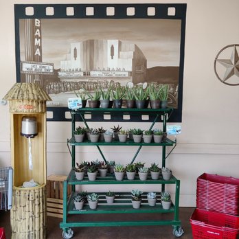 Trader Joe's - To the left as you enter: wipes, live plants, and shopping baskets - Grocery Near Me - Houston, Texas Trader Joe's - To the left as you enter: wipes, live plants, and shopping baskets - Grocery Near Me - Houston, Texas