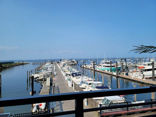 ON THE DECK RESTAURANT AND BAR - Updated April 2026 - 215 Photos & 285 ...