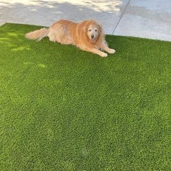 Celestinos Artificial Turf - Artificial Turf Near Me - Rancho Cucamonga, California Celestinos Artificial Turf - Artificial Turf Near Me - Rancho Cucamonga, California