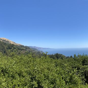 Nepenthe - New American Near Me - Big Sur, California