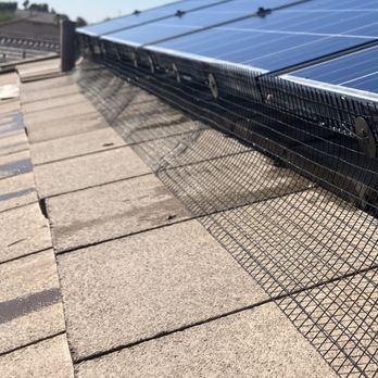 Solar Splash - BirdProofing Done Right ! - Solar Panel Cleaning Near Me Solar Splash - BirdProofing Done Right ! - Solar Panel Cleaning Near Me