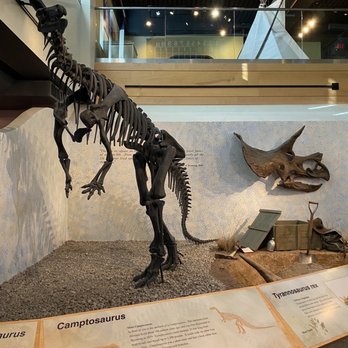 Wyoming State Museum - Museums Near Me - Cheyenne, Wyoming Wyoming State Museum - Museums Near Me - Cheyenne, Wyoming