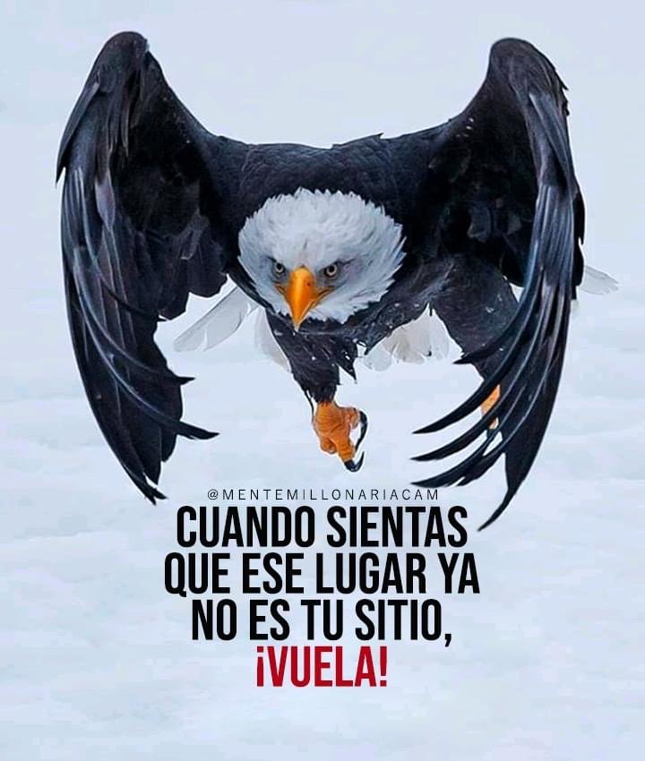 Slide of Arnoldo Roofing