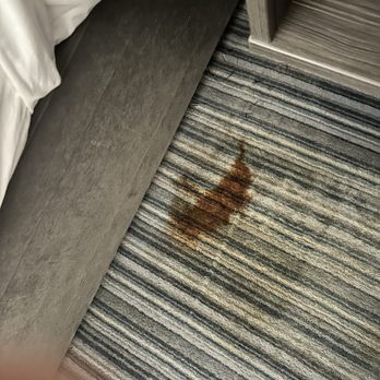 Leonardo Hotel Brighton - Greeted with this after being checked into my "cleaned" room. - Hotels Near Me - Brighton, BNH Leonardo Hotel Brighton - Greeted with this after being checked into my "cleaned" room. - Hotels Near Me - Brighton, BNH