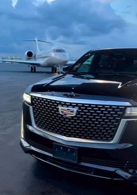 Platinum Unlimited Transportation