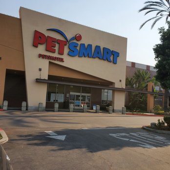 PetSmart Doggie Day Camp - Storefront - Pet Stores Near Me - Long Beach, California PetSmart Doggie Day Camp - Storefront - Pet Stores Near Me - Long Beach, California