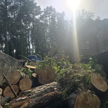 Advance Grading & Tree Service - Tree Services Near Me - Atlanta, Georgia Advance Grading & Tree Service - Tree Services Near Me - Atlanta, Georgia