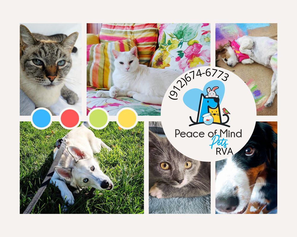 PEACE OF MIND PETS RVA Updated May 2024 10 Photos Midlothian