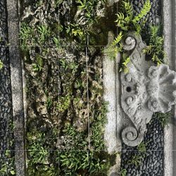 Isola Bella - Gardens