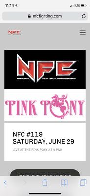 Pink Pony by null