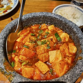 Szechuan Mountain House - Worst dish all evening. Ma-po Tofu. Medicinal taste. - Szechuan Near Me - New York, New York