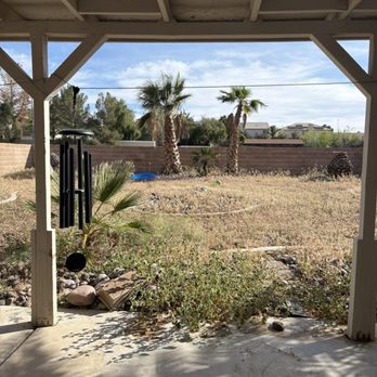 Las Vegas Yard Services - Before weed removal - so many weeds! Really overwhelming - Lawn Services Near Me Las Vegas Yard Services - Before weed removal - so many weeds! Really overwhelming - Lawn Services Near Me
