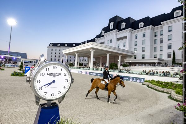 The Equestrian Hotel by null