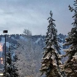 Ski Haus