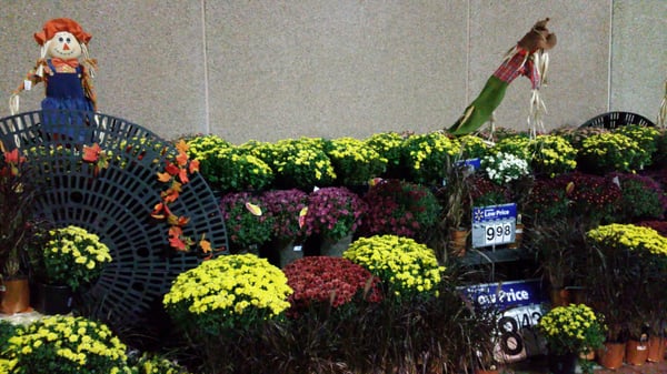 Walmart Supercenter by null