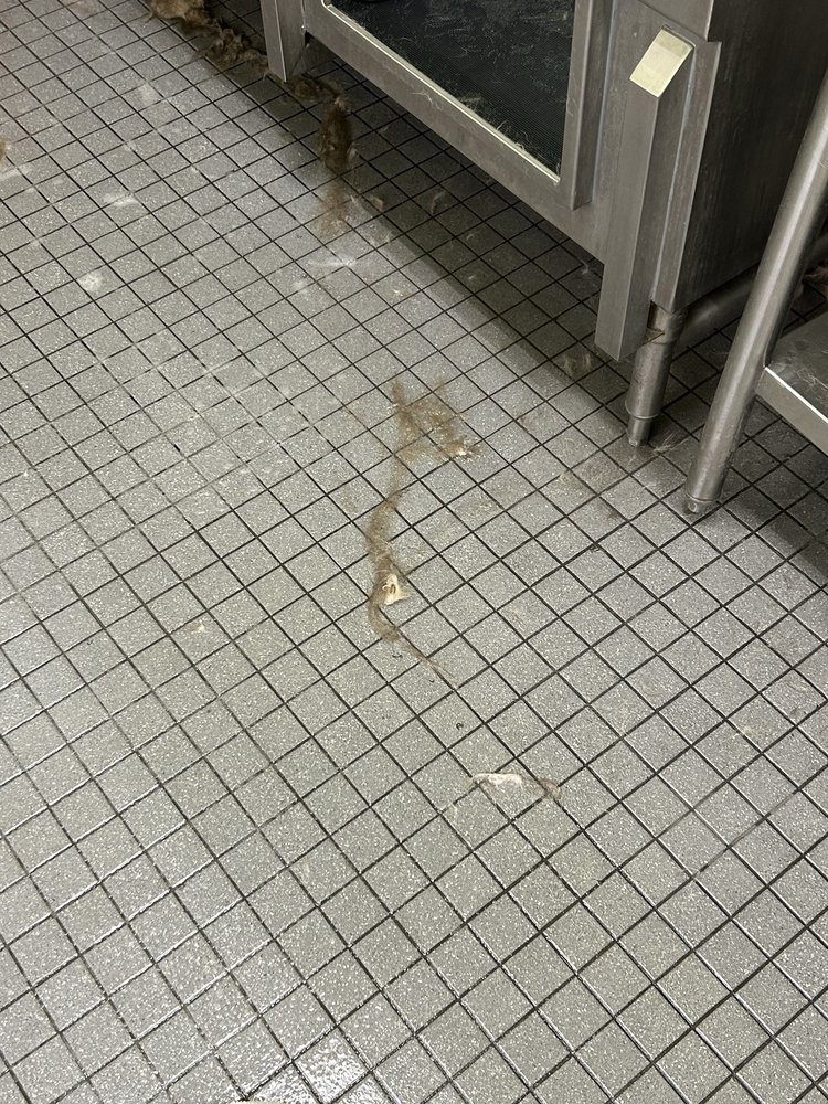 Unleashed by Petco