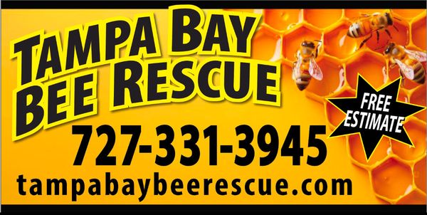 Tampa Bay Bee Rescue