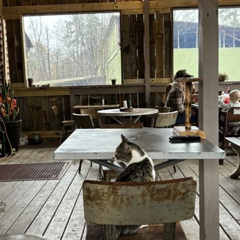 Sylvan Farm - Attraction Farms Near Me - Saluda, South Carolina