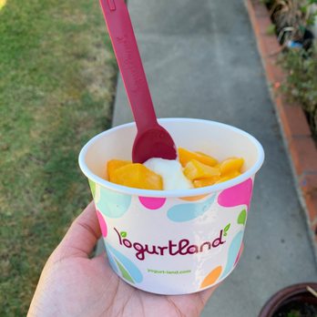 Yogurtland - Enjoying my pinacolada yogurt with mango after I got home. - Ice Cream & Frozen Yogurt Near Me - La Habra, California Yogurtland - Enjoying my pinacolada yogurt with mango after I got home. - Ice Cream & Frozen Yogurt Near Me - La Habra, California