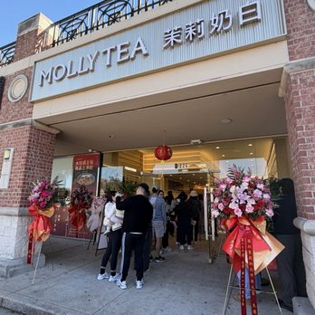 Molly Tea - Coffee & Tea Near Me - Houston, Texas Molly Tea - Coffee & Tea Near Me - Houston, Texas