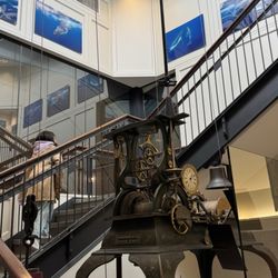 Whaling Museum