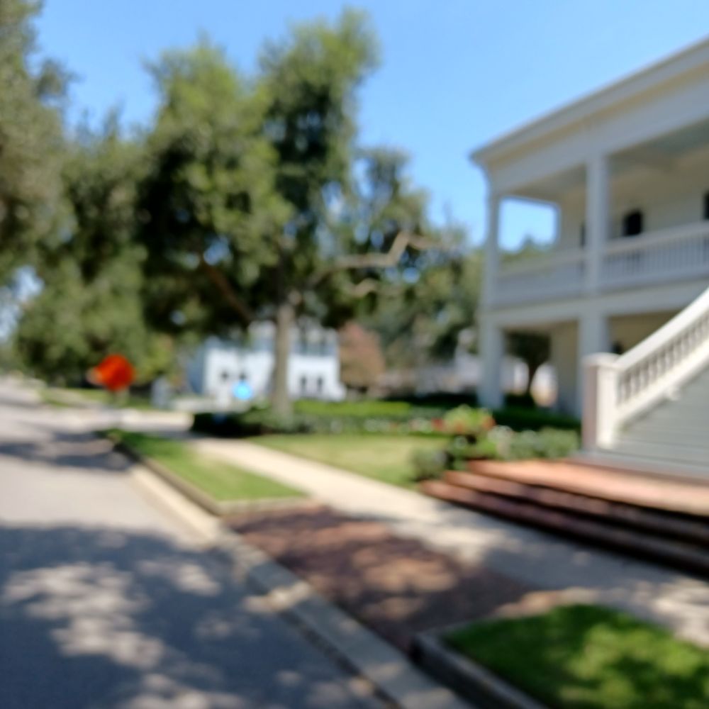 Reliable Tree & Stump Removal - tree service in New Orleans, LA