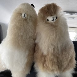 Simply Natural Alpaca & Sheepskin