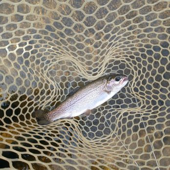 Brookings Anglers - Hunting & Fishing Supplies Near Me - Cashiers, North Carolina