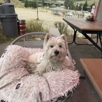 Windy City Pizza and Pub - Pizza Near Me - Breckenridge, Colorado