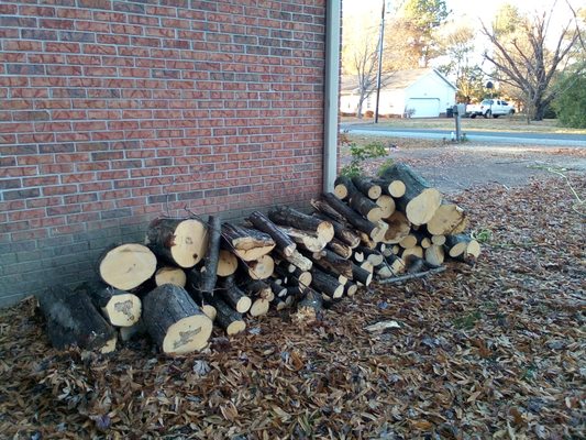 COX TREE REMOVAL - Jackson, Tennessee - Tree Services - Phone Number - Yelp